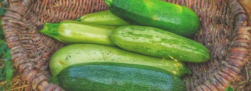 Τα κολοκυθάκια είναι από τα πλέον καλοκαιρινά, προσιτά και νόστιμα λαχανικά.